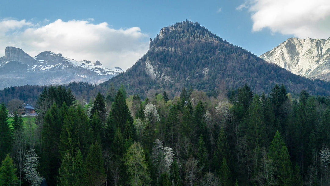 №25 „Alte Steinmühle“ in Bad Aussee