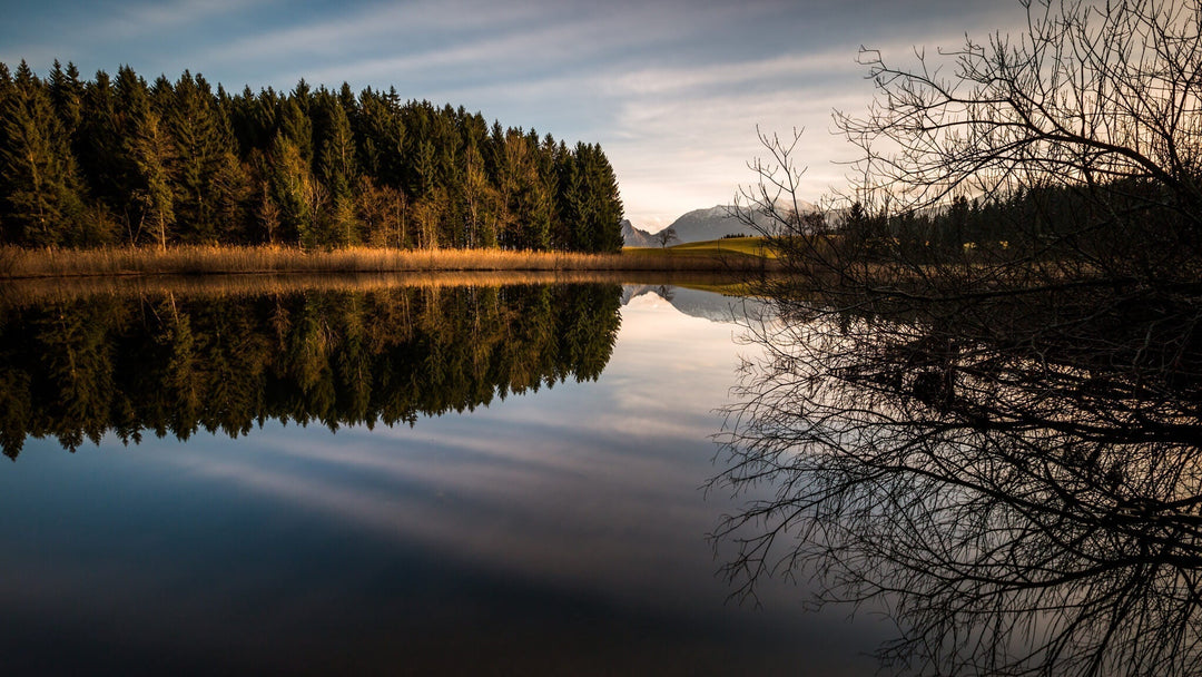 №32 Der Egelsee und das umliegende Egelmoor …