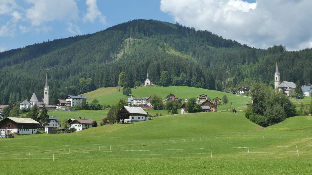 №27 Löckermoos und Löckersee