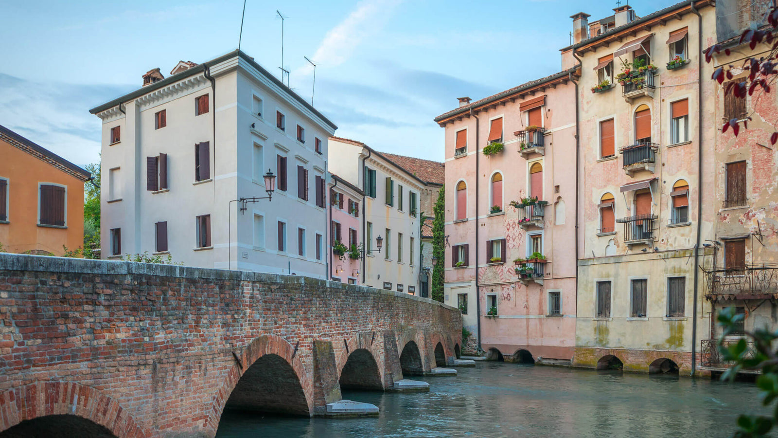 №36 Treviso, ...