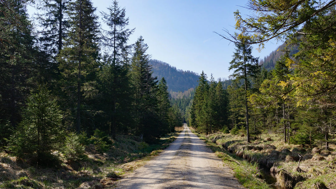 №30 „Naturjuwel“ Eibensee - Hochmoor Wildmoos - Marienköpfl