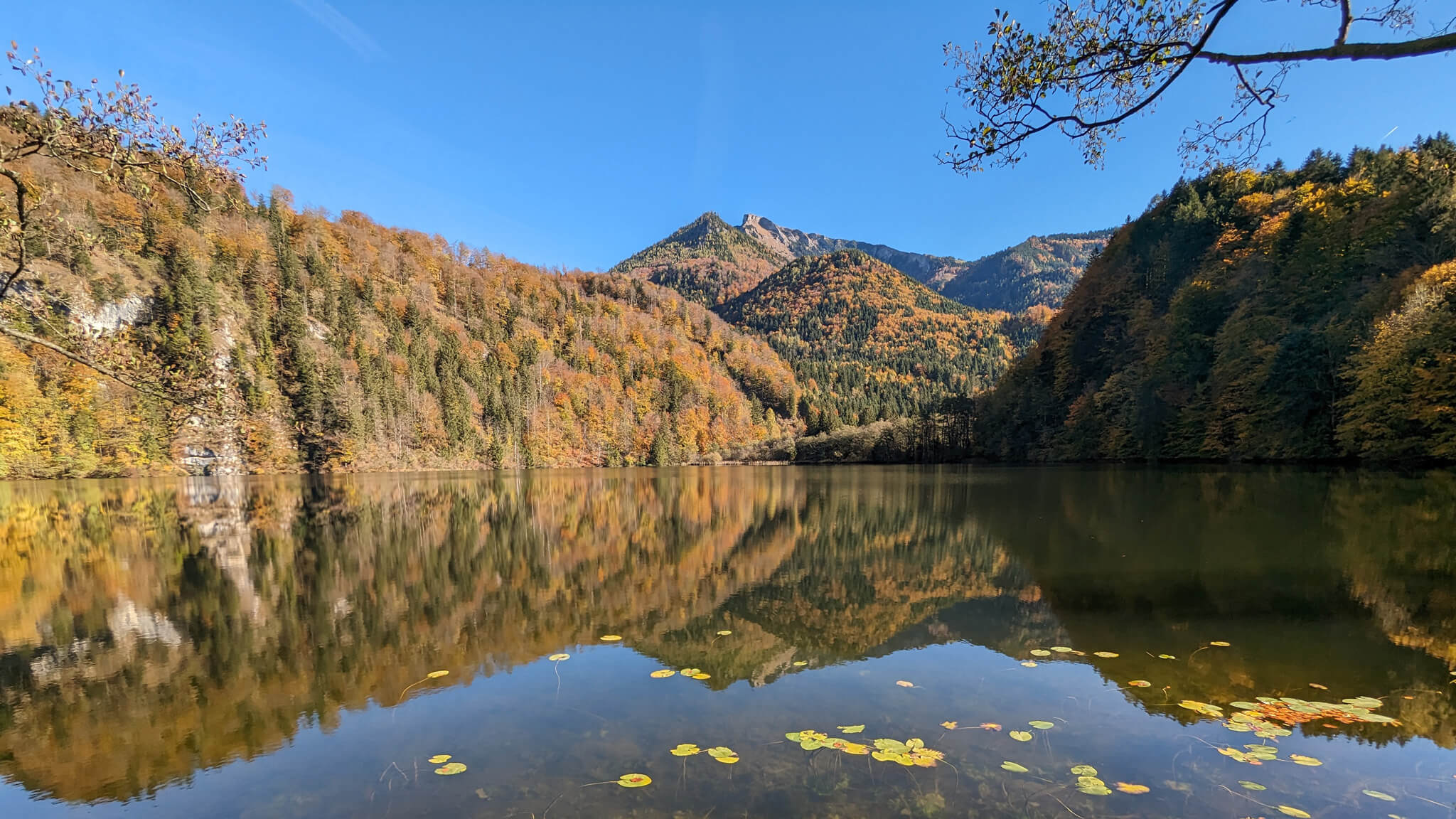 https://commons.wikimedia.org/wiki/File:Egelsee_Reflexionen.jpg