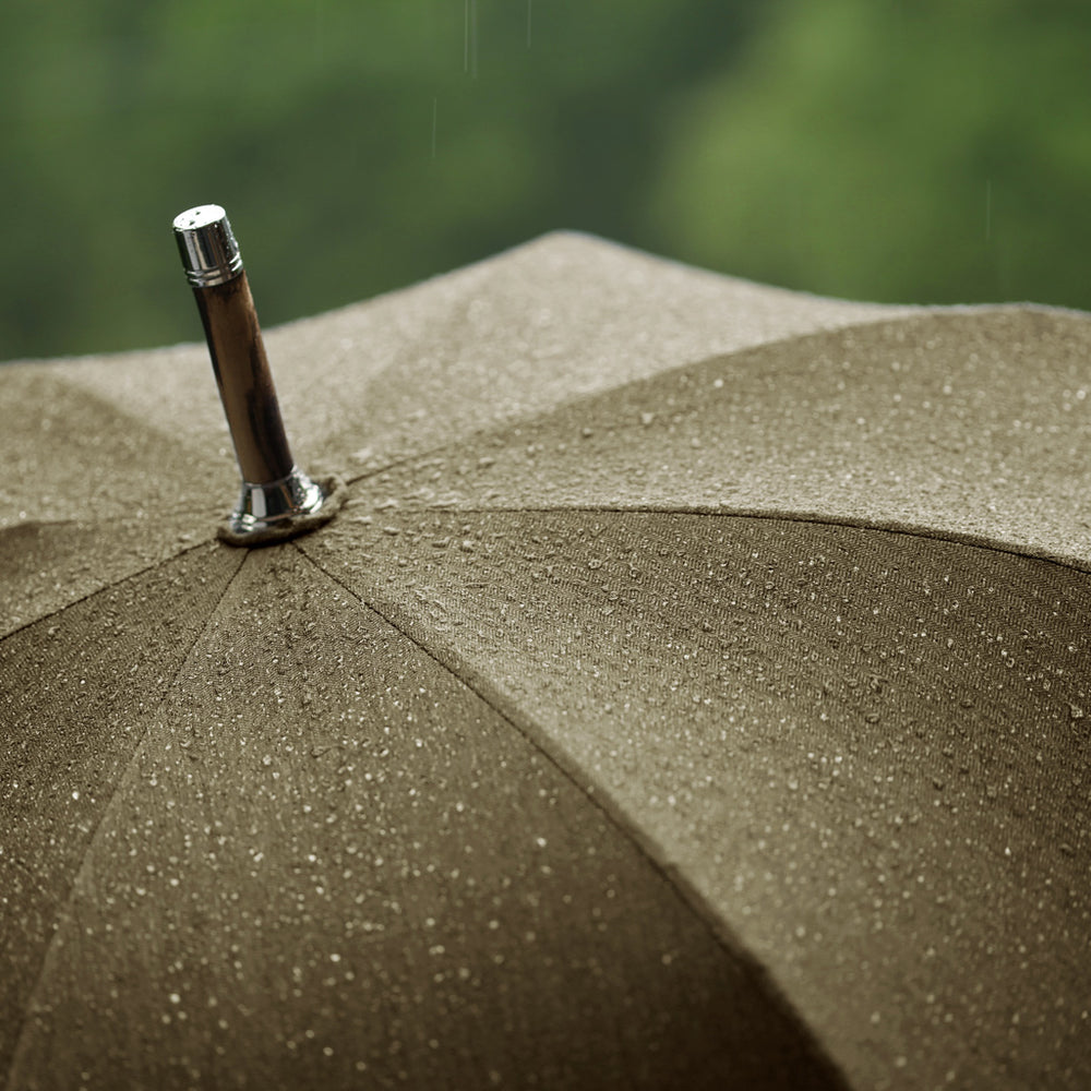 Francesco Maglia Regenschirm Oliv – Edition „Stillsegler“