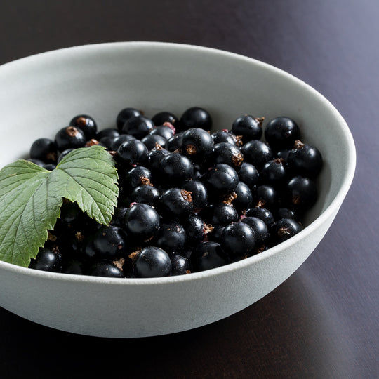 Giorgio Speiseset Porzellan