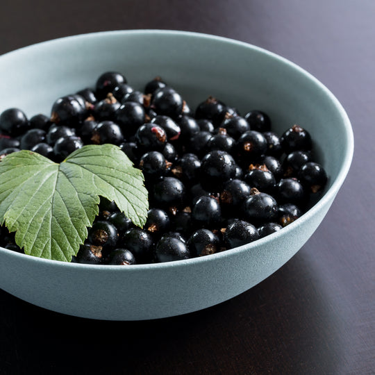 Giorgio Speiseset Porzellan