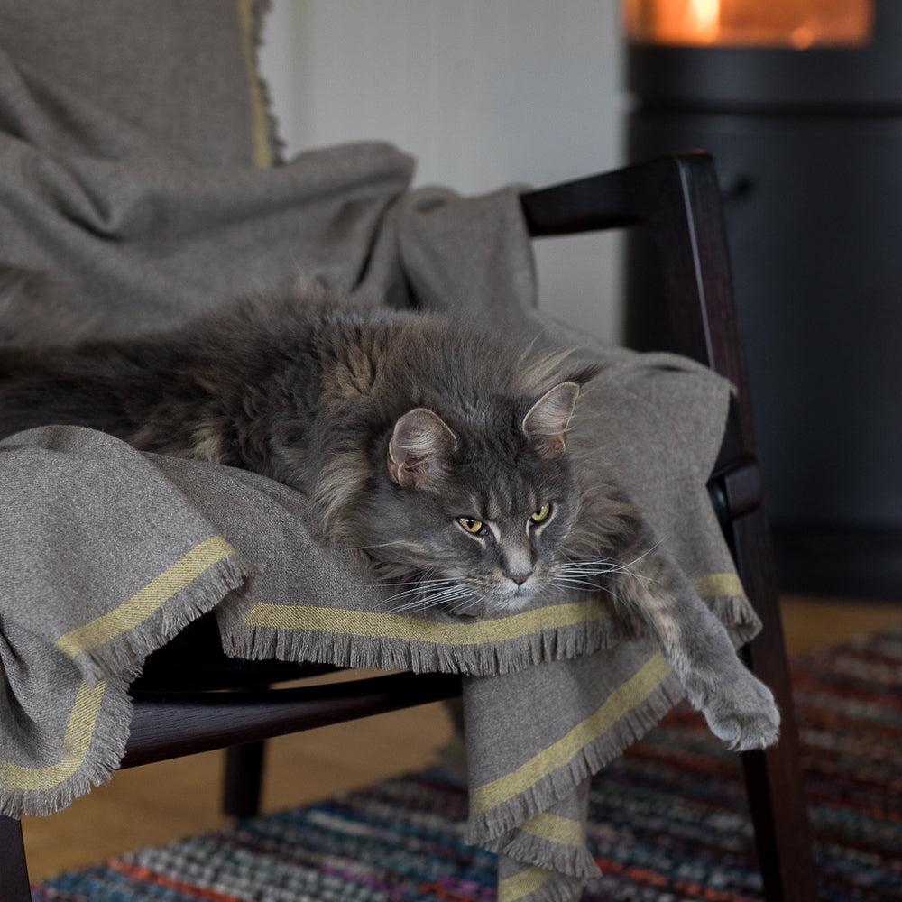 Maiwa Yakhaardecke Gelb